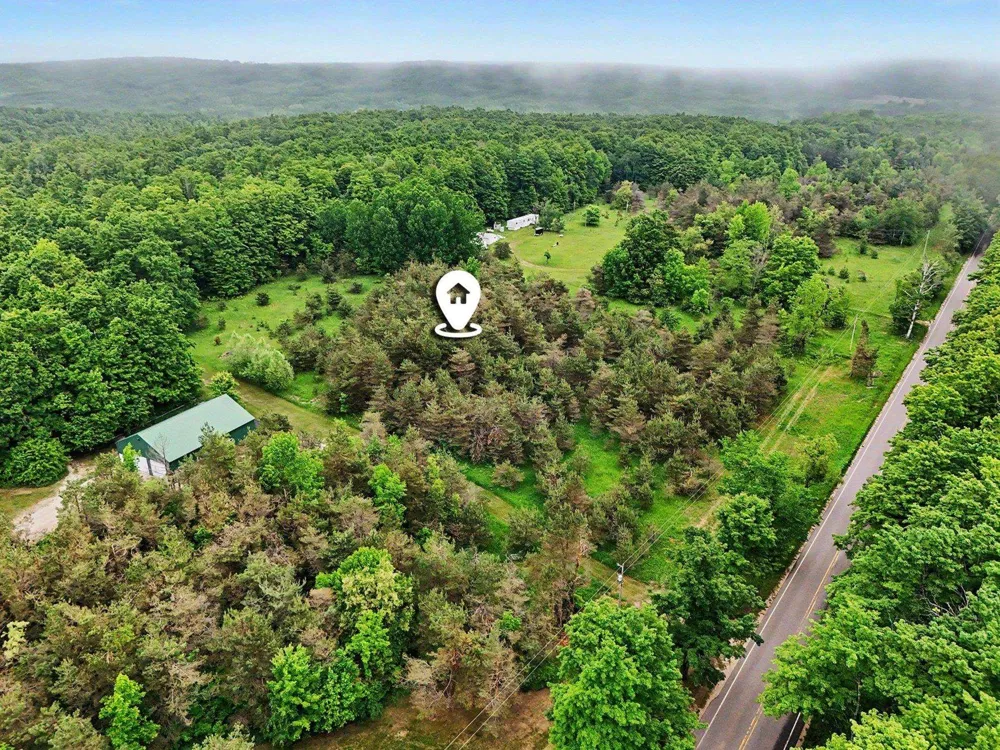 Robinson Road Readmond Township, MI 49740