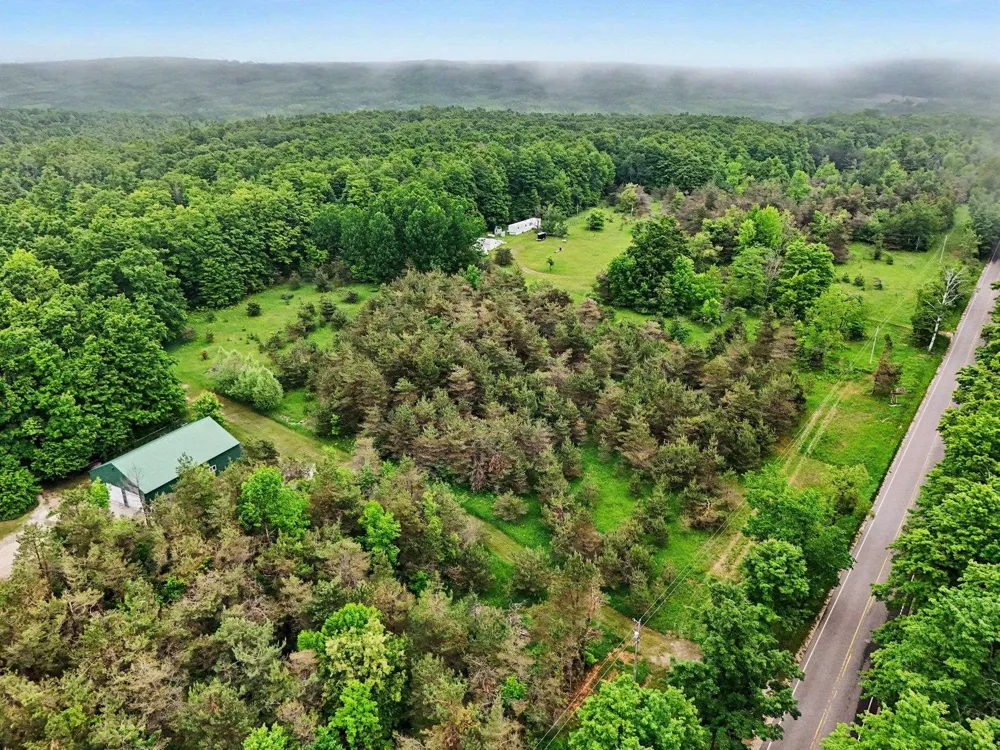 Robinson Road Readmond Township, MI 49740
