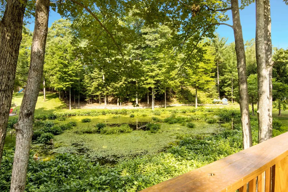 3647 Weber Road East Bay Township, MI 49696