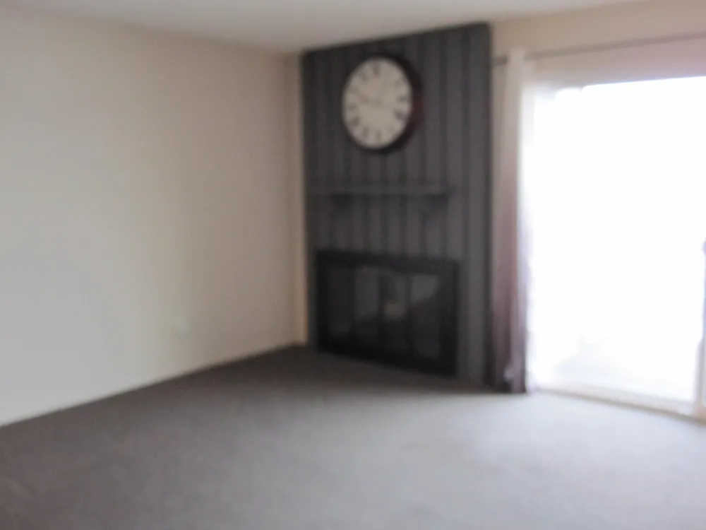 820 Cliffs Drive #306 Ypsilanti Charter Township, MI 48198