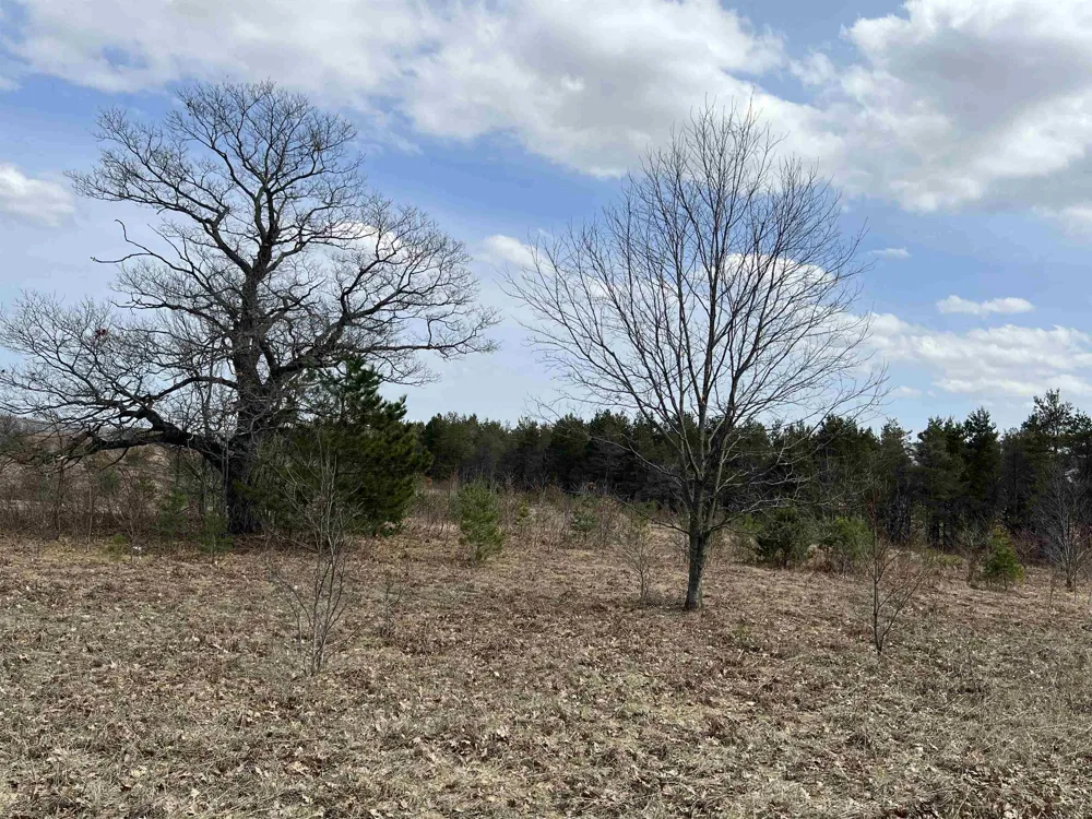 39 ROAD Haring Charter Township, MI 49601