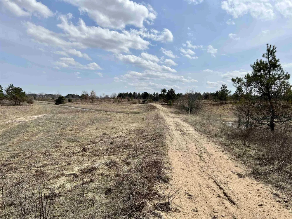 39 ROAD Haring Charter Township, MI 49601