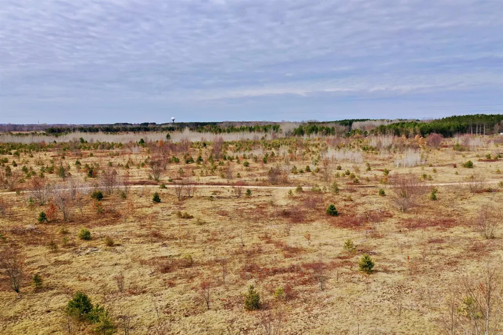 39 ROAD Haring Charter Township, MI 49601