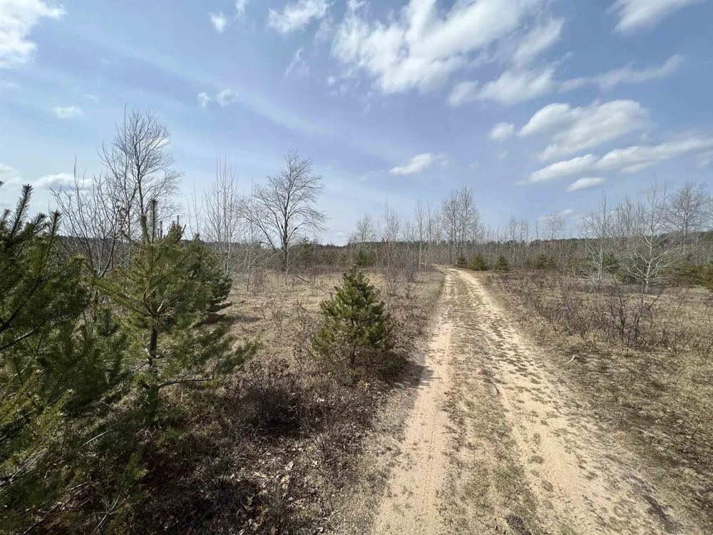 39 ROAD Haring Charter Township, MI 49601