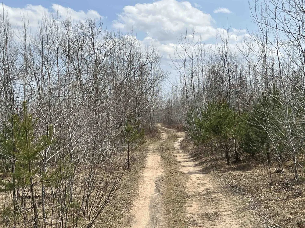 39 ROAD Haring Charter Township, MI 49601