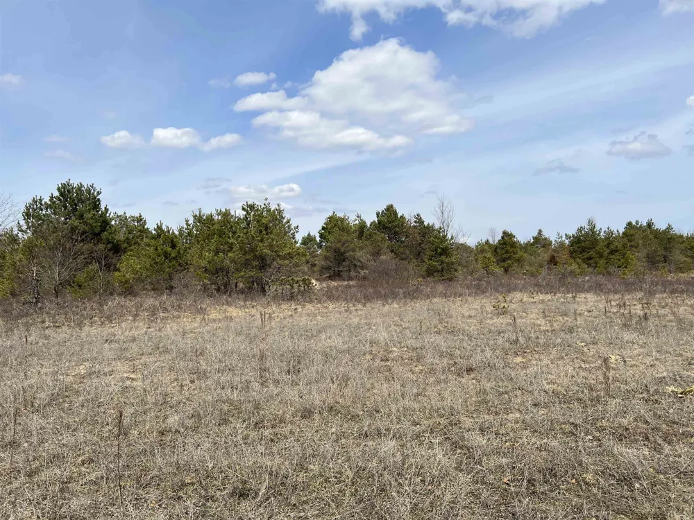 39 ROAD Haring Charter Township, MI 49601