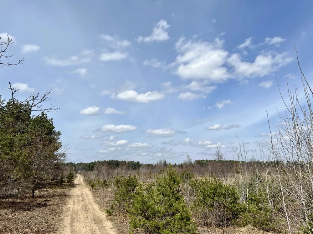 39 ROAD Haring Charter Township, MI 49601