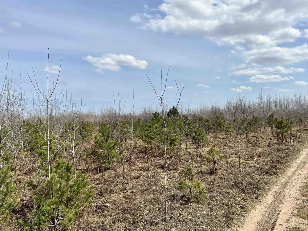 39 ROAD Haring Charter Township, MI 49601