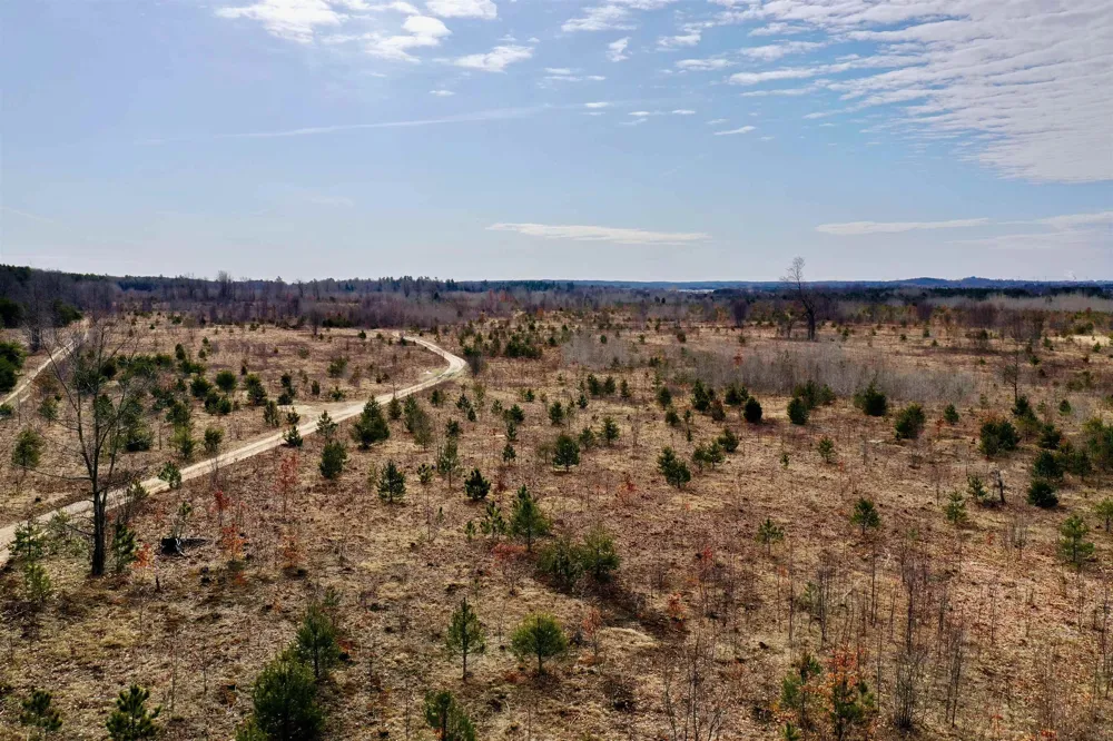 39 ROAD Haring Charter Township, MI 49601