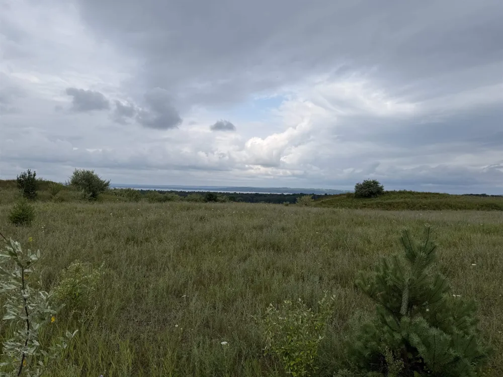 7505 Highgrove Acme Township, MI 49650