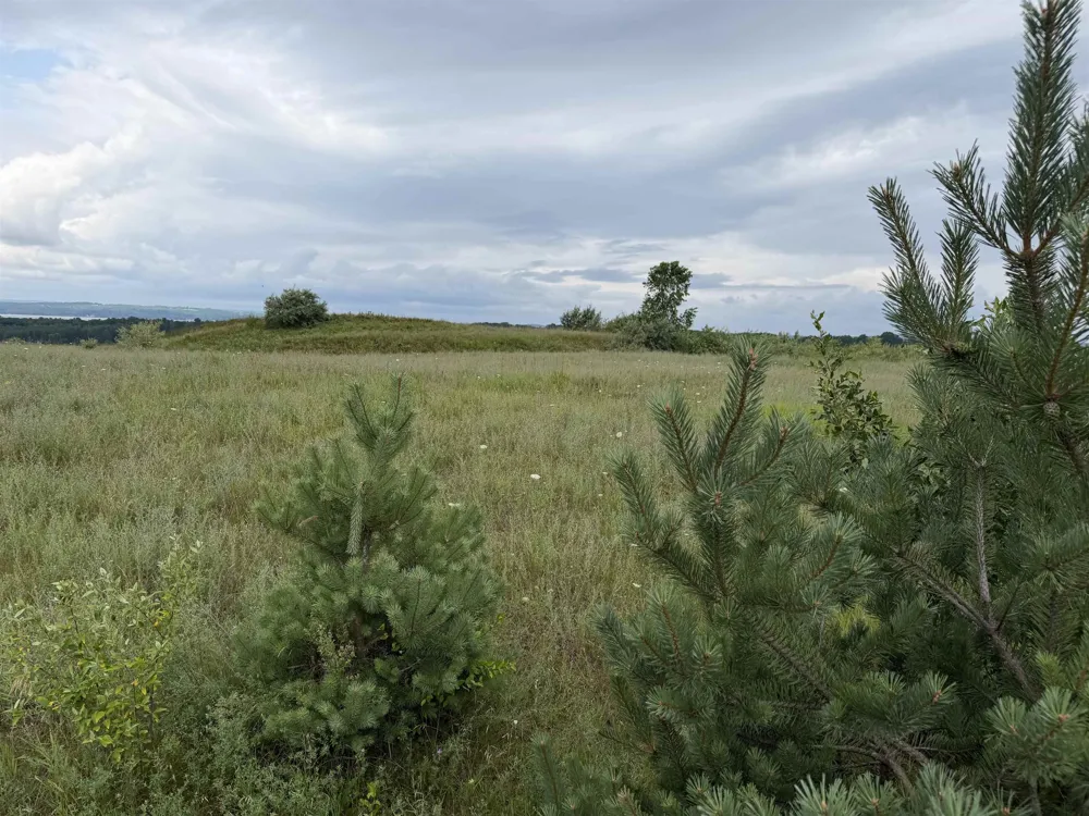 7505 Highgrove Acme Township, MI 49650