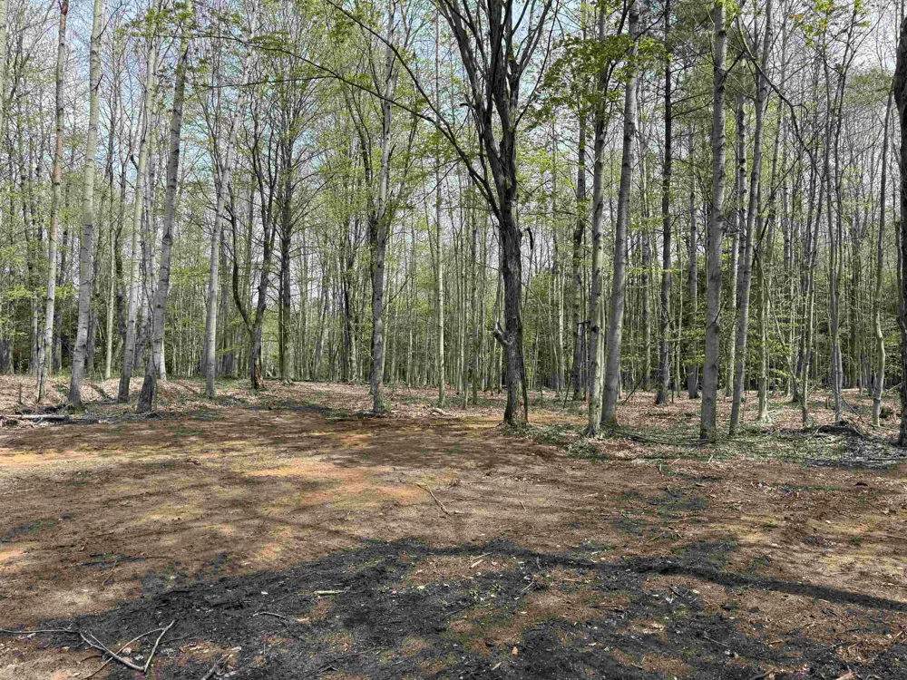 6639 Fall Road Green Lake Township, MI 49637