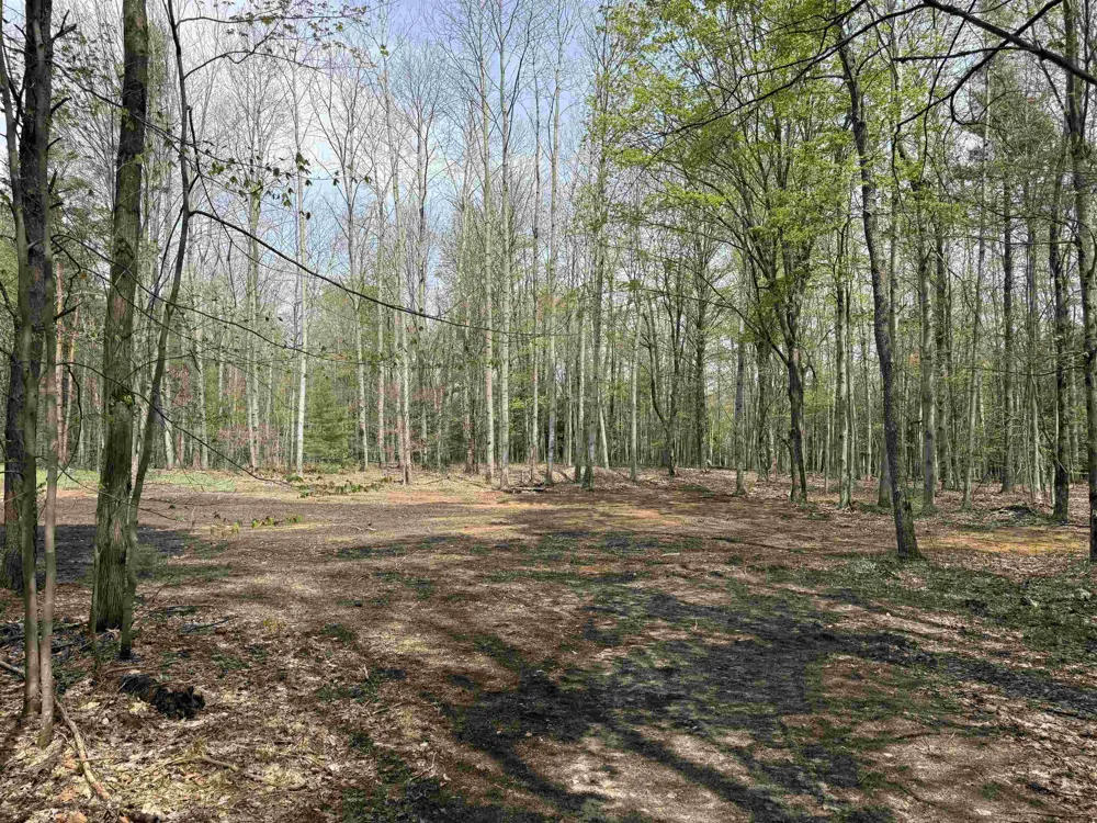 6639 Fall Road Green Lake Township, MI 49637