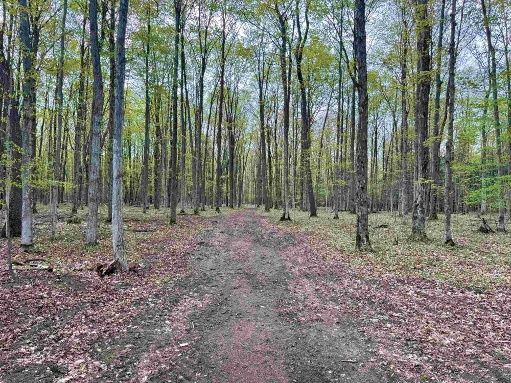 6639 Fall Road Green Lake Township, MI 49637