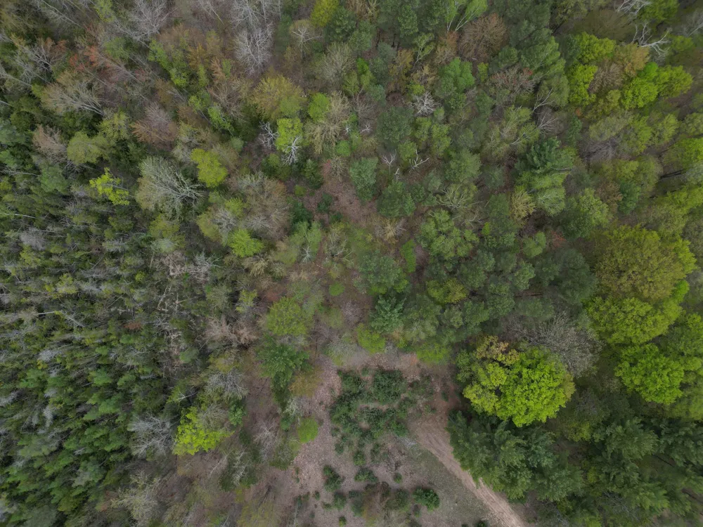 6639 Fall Road Green Lake Township, MI 49637
