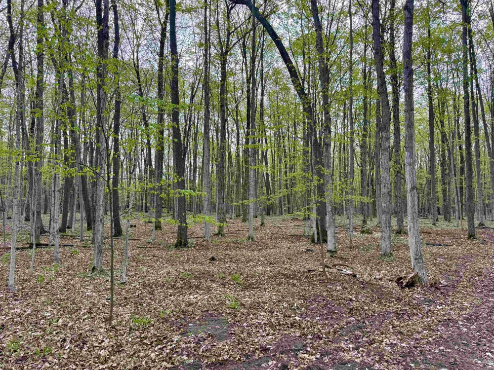 6639 Fall Road Green Lake Township, MI 49637