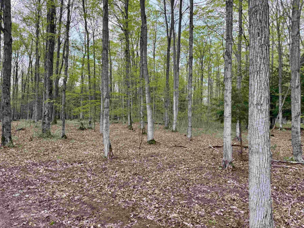 6639 Fall Road Green Lake Township, MI 49637