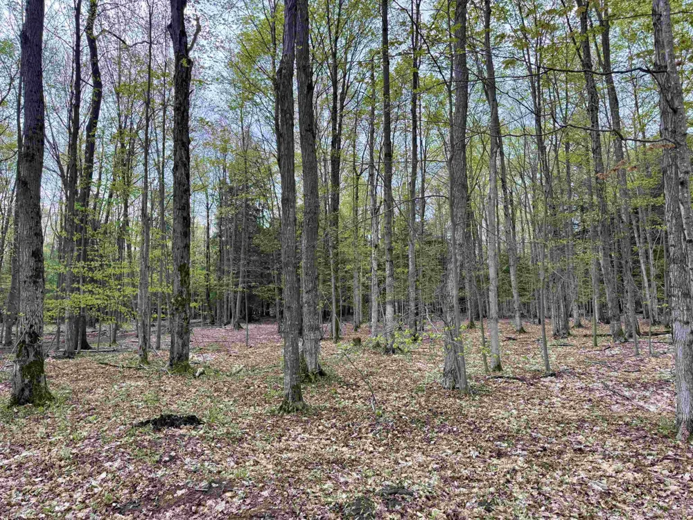 6639 Fall Road Green Lake Township, MI 49637