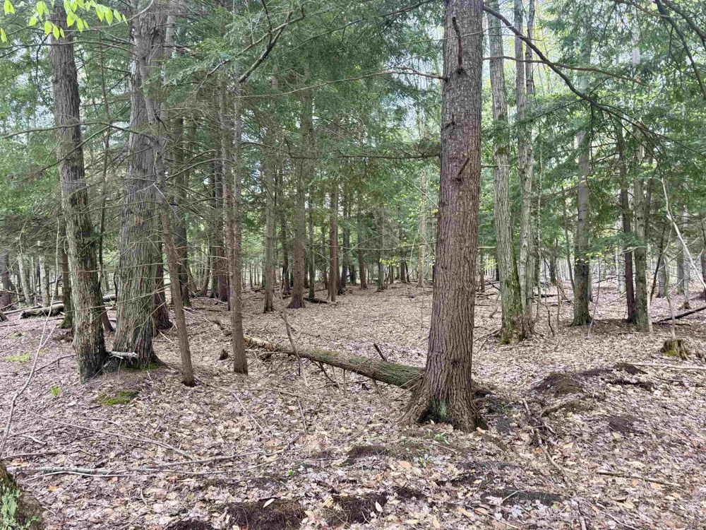 6639 Fall Road Green Lake Township, MI 49637