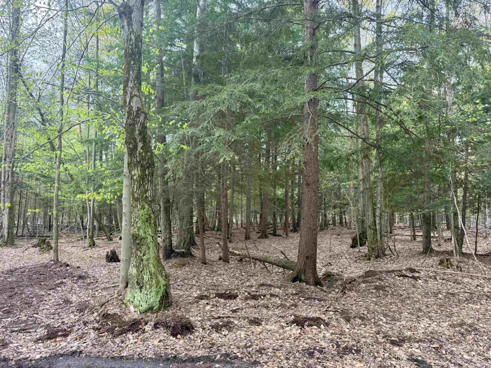 6639 Fall Road Green Lake Township, MI 49637