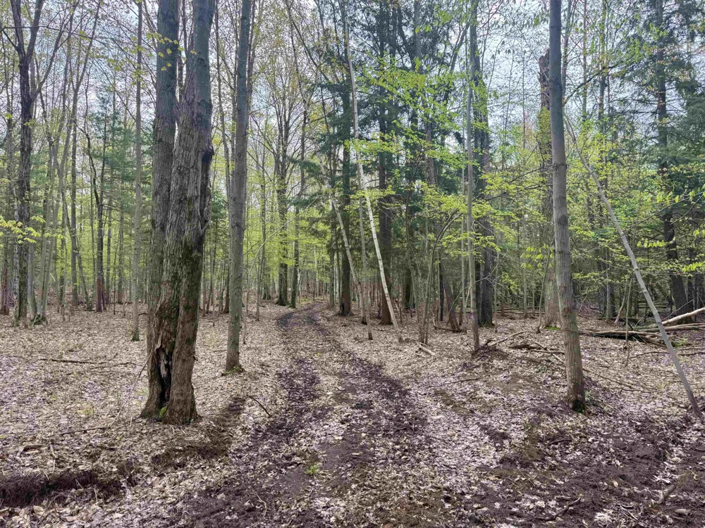 6639 Fall Road Green Lake Township, MI 49637