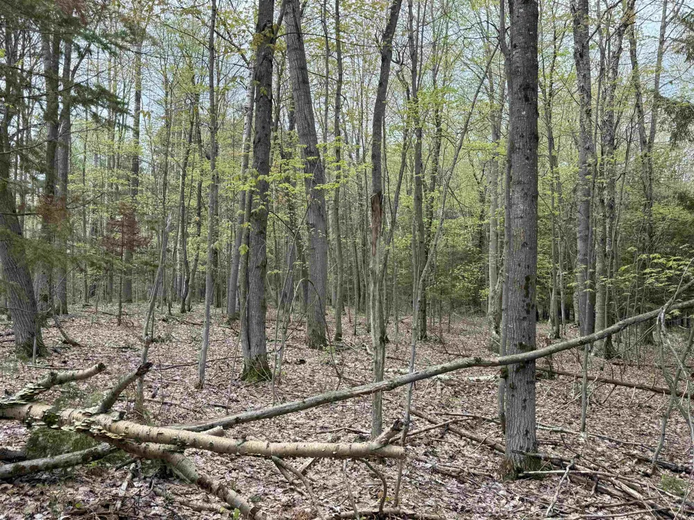 6639 Fall Road Green Lake Township, MI 49637