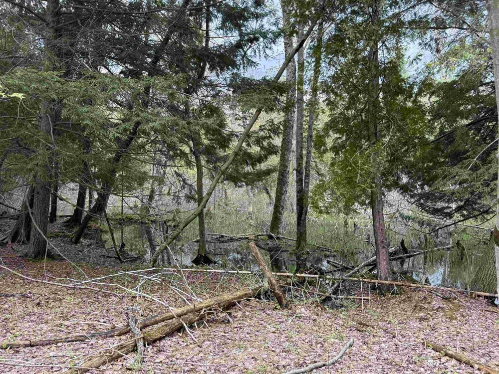6639 Fall Road Green Lake Township, MI 49637