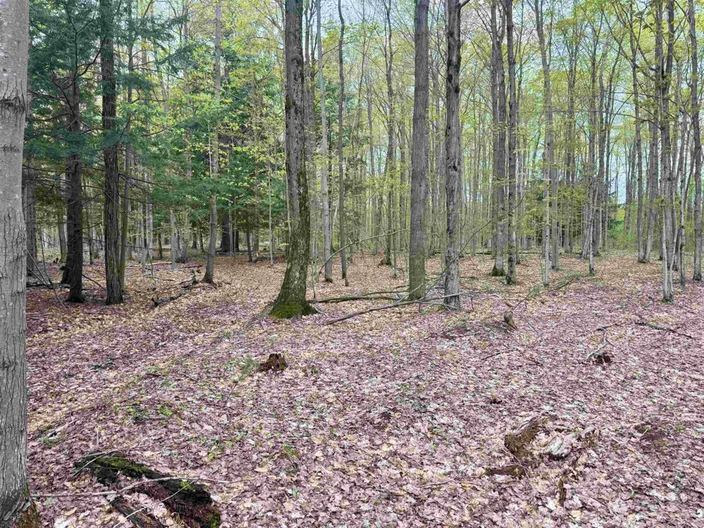 6639 Fall Road Green Lake Township, MI 49637