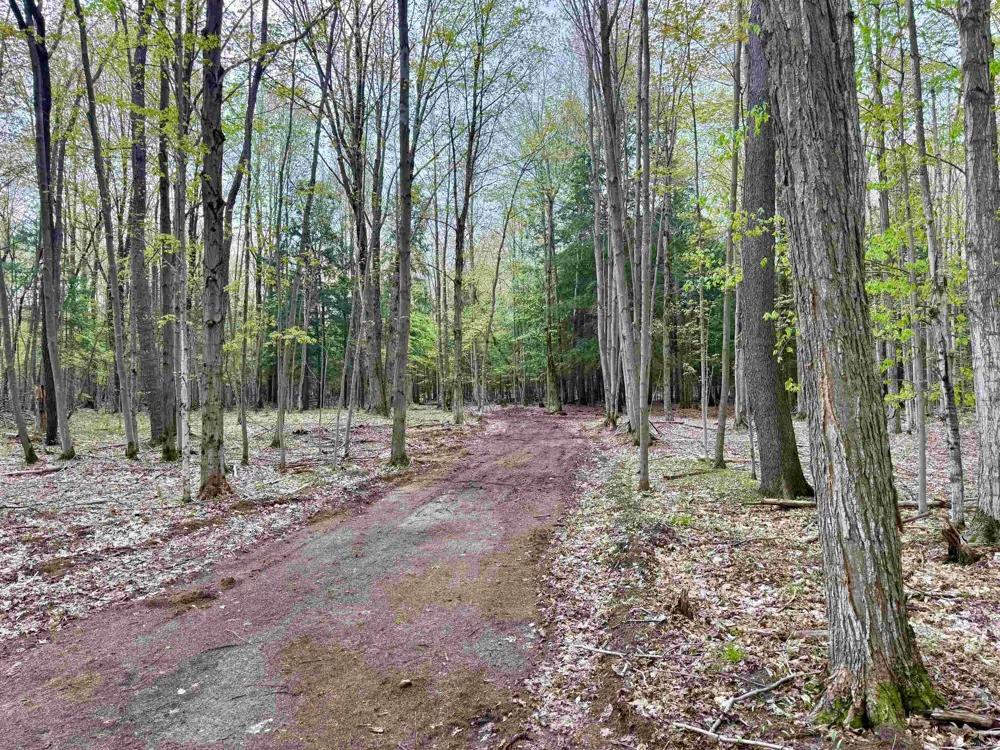 6639 Fall Road Green Lake Township, MI 49637