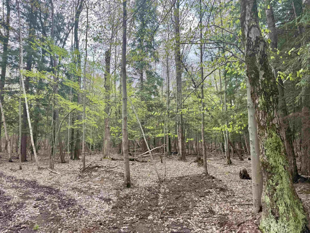 6639 Fall Road Green Lake Township, MI 49637