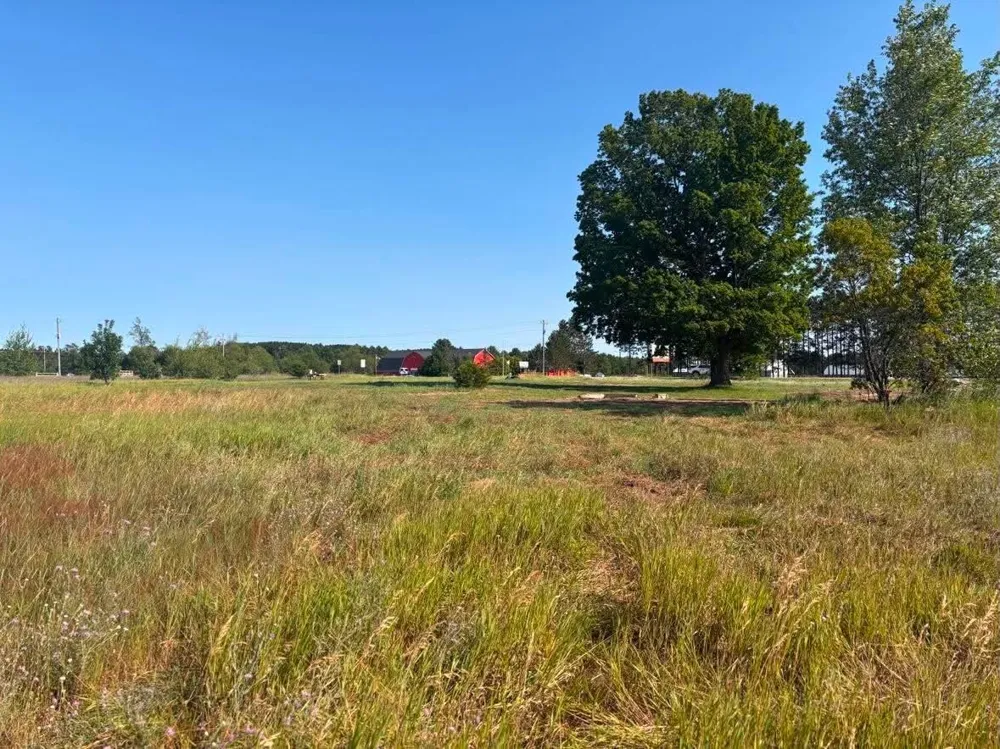 18138 Honor Highway Inland Township, MI 49643