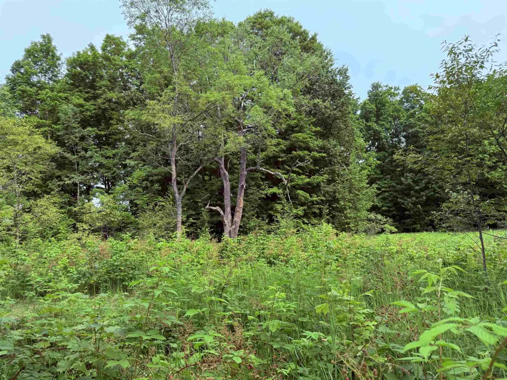 549 Kleehammer Club Drive Excelsior Township, MI 49646
