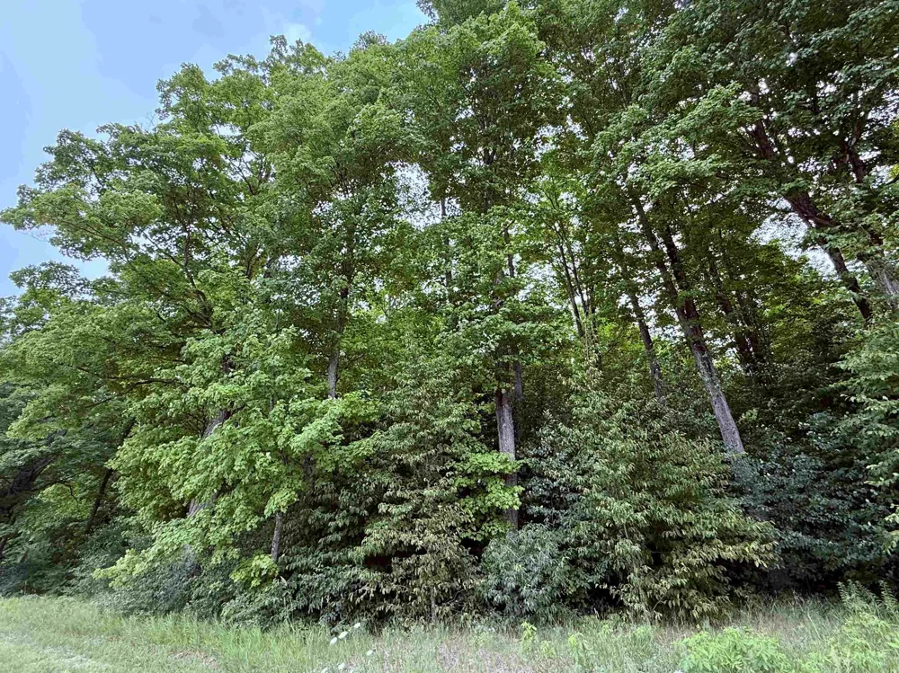 549 Kleehammer Club Drive Excelsior Township, MI 49646