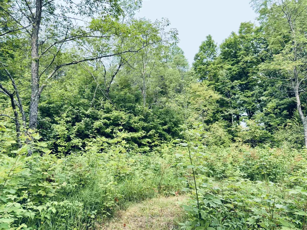 549 Kleehammer Club Drive Excelsior Township, MI 49646