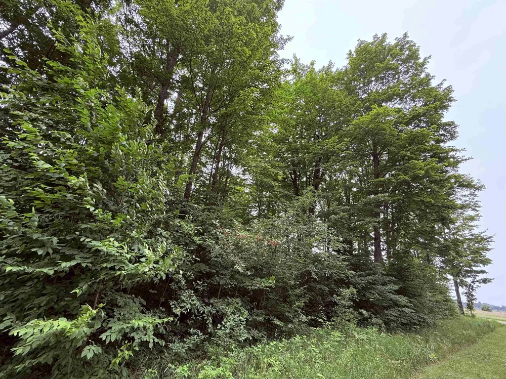 549 Kleehammer Club Drive Excelsior Township, MI 49646