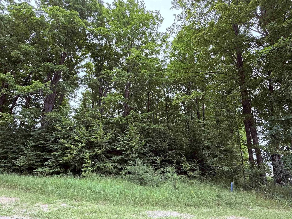 549 Kleehammer Club Drive Excelsior Township, MI 49646
