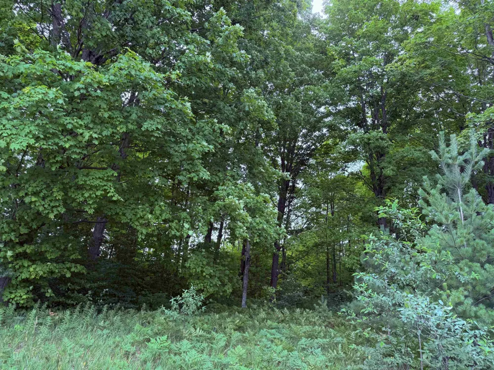 549 Kleehammer Club Drive Excelsior Township, MI 49646
