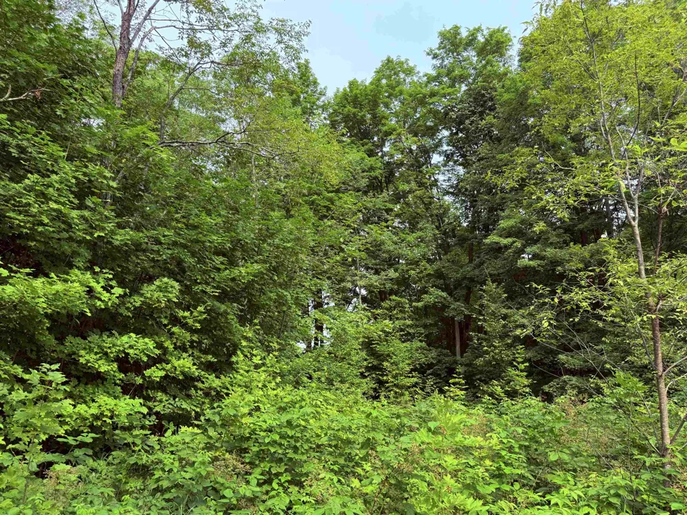 549 Kleehammer Club Drive Excelsior Township, MI 49646