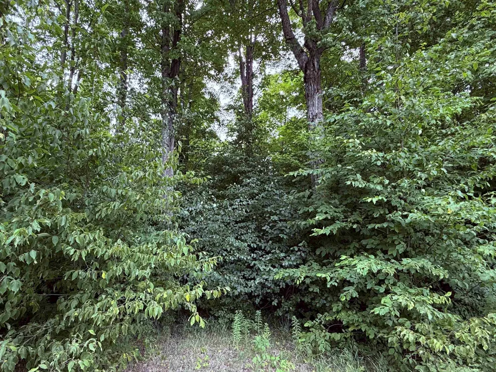 549 Kleehammer Club Drive Excelsior Township, MI 49646