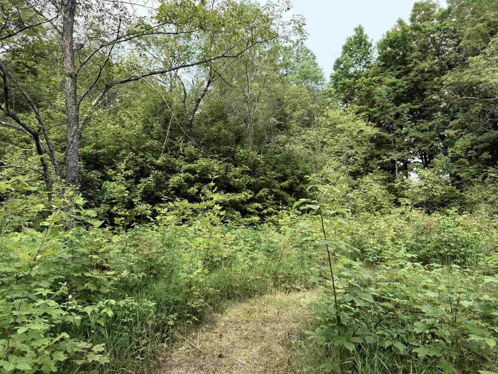 549 Kleehammer Club Drive Excelsior Township, MI 49646