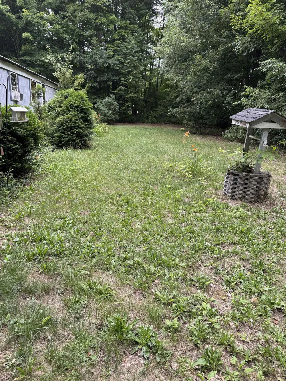 3156 NE Co Road 612 Kalkaska Township, MI 49646