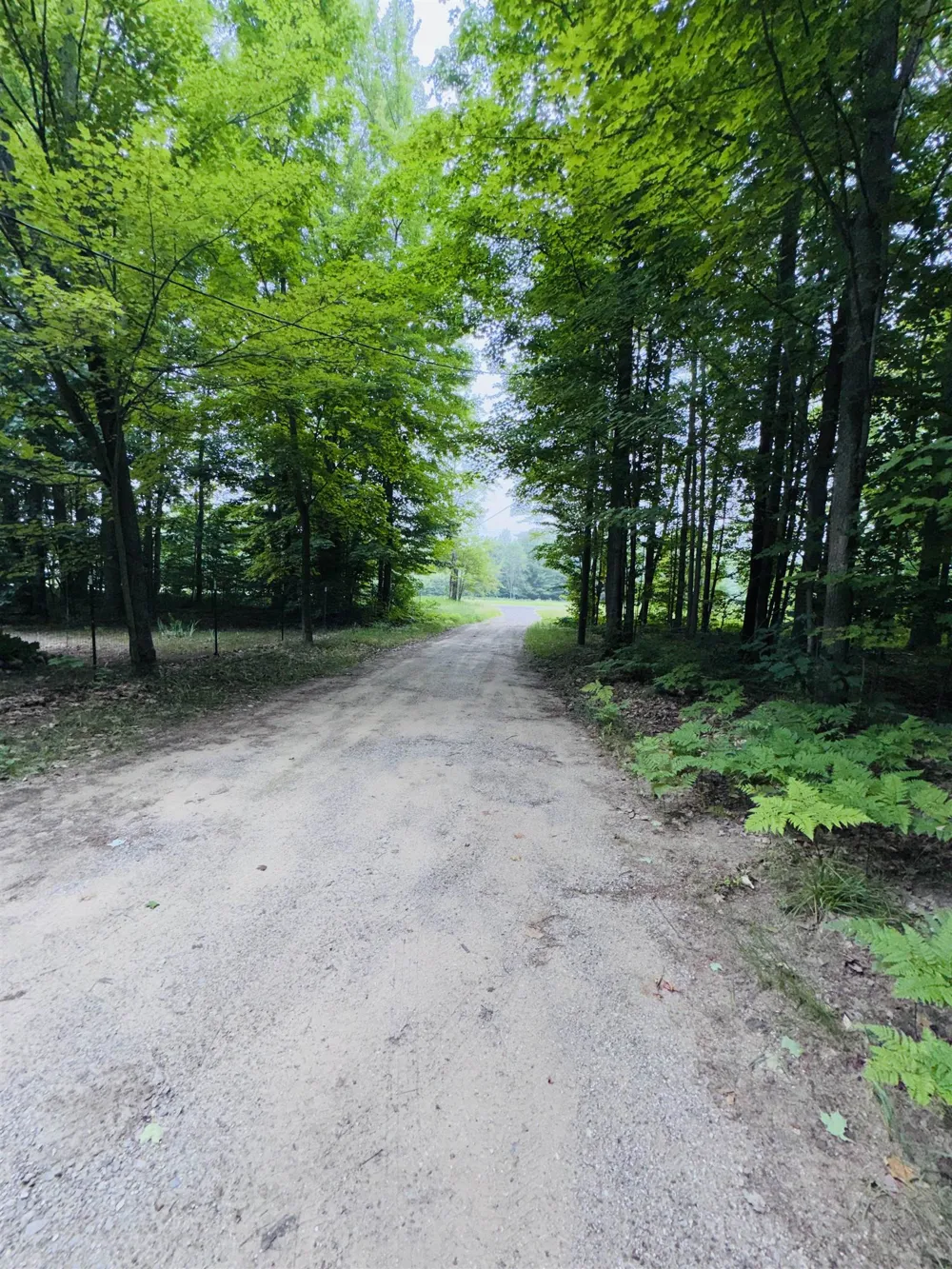 3156 NE Co Road 612 Kalkaska Township, MI 49646