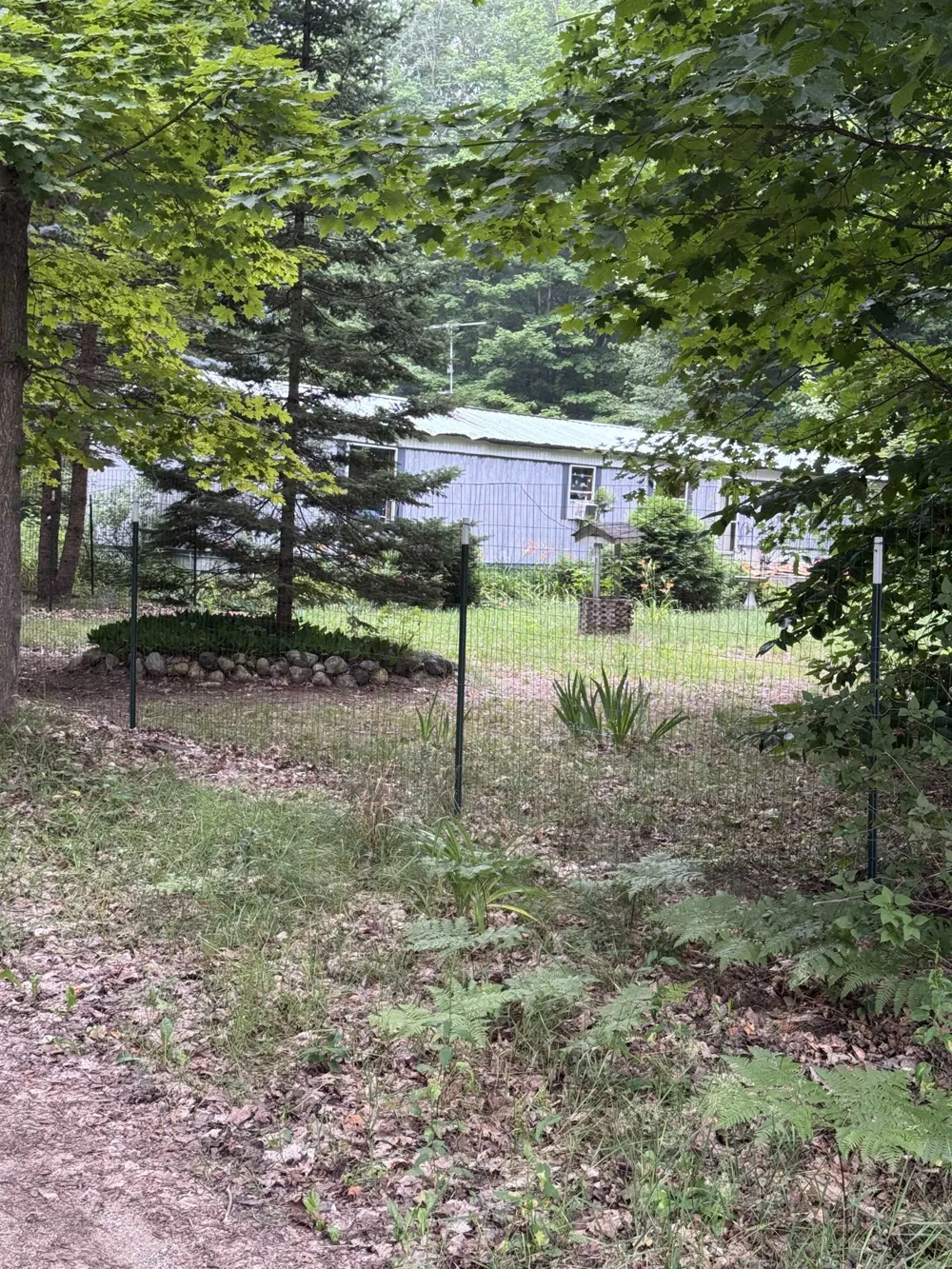 3156 NE Co Road 612 Kalkaska Township, MI 49646
