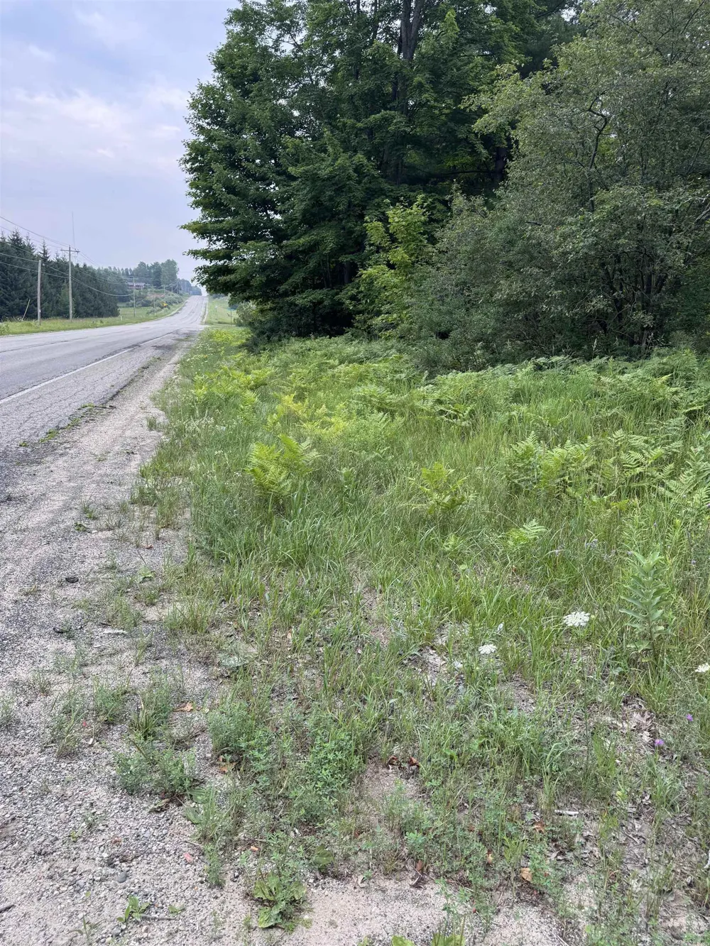 3156 NE Co Road 612 Kalkaska Township, MI 49646
