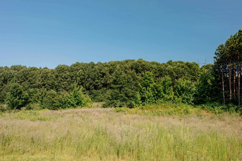 862 Coyote Lane East Bay Township, MI 49696