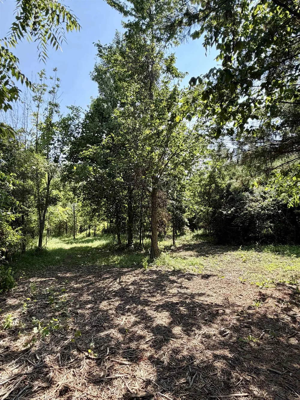 Gay Road Whitewater Township, MI 49690