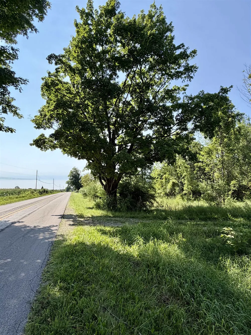 Gay Road Whitewater Township, MI 49690