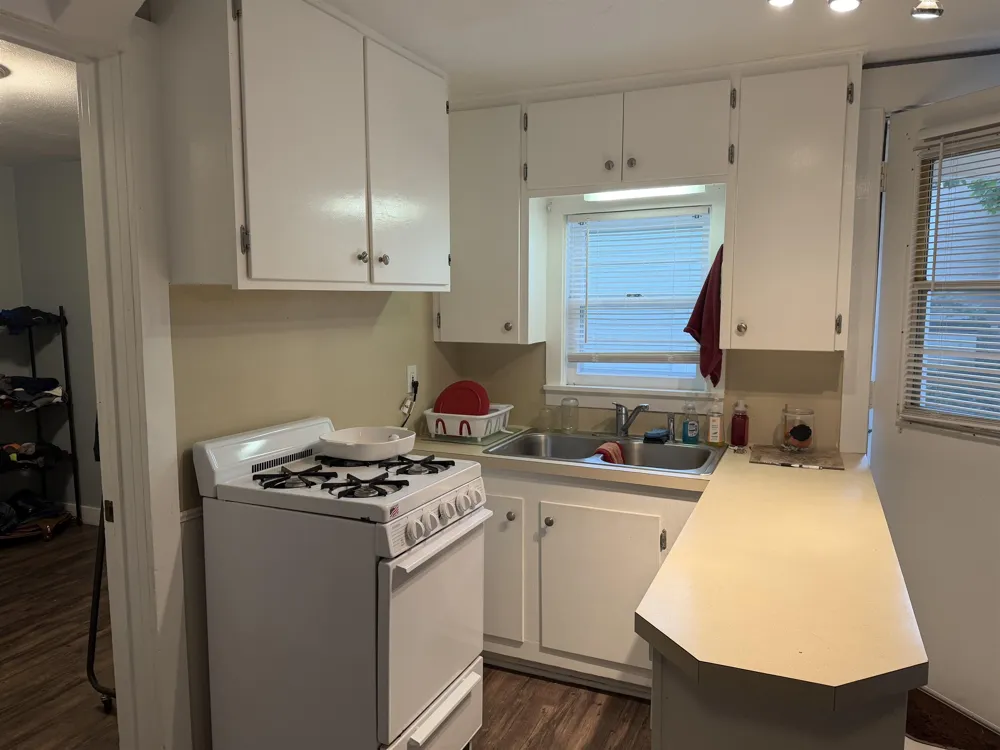 405 S Maxwell Street Mt Pleasant City, MI 48858