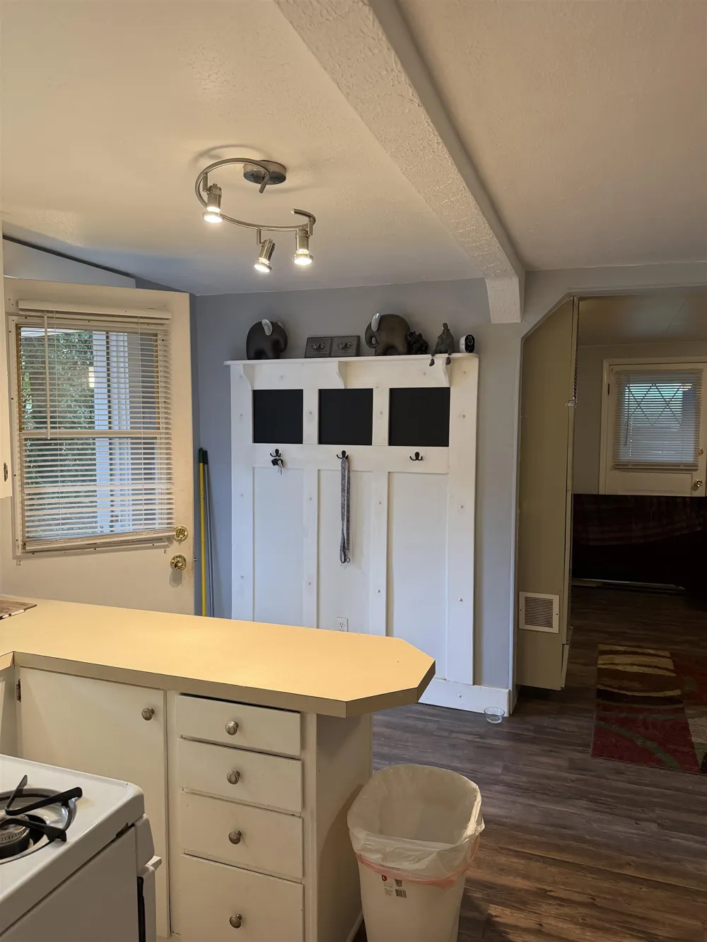 405 S Maxwell Street Mt Pleasant City, MI 48858