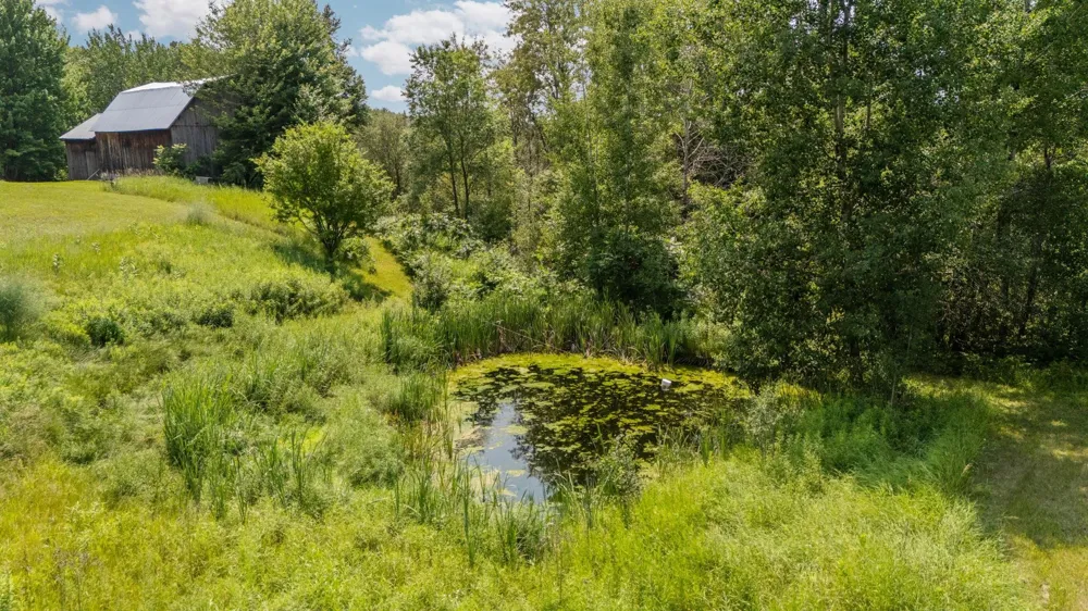 7741 S M-88 Custer Township, MI 49659
